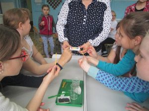 Летний оздоровительный лагерь.